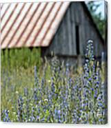 Field Of Yesterday Canvas Print