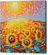 Fields Of Gold - Abstract Landscape With Sunflowers In Sunrise Canvas Print