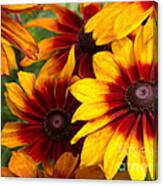 Fiery Flowers Canvas Print