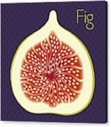 Fig Canvas Print