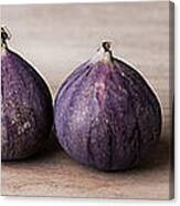 Figs Canvas Print