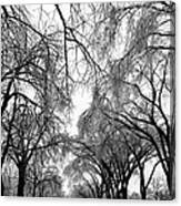 Film Noir Cinematographer Burnett Guffey Glenn Ford Framed 1947  2 Summit Avenue St. Paul Mn 1966 Canvas Print