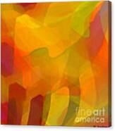 Filtered Canvas Print