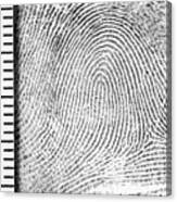 Fingerprint With Ruler For Measurement Canvas Print