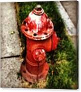 #fire #hydrant #firehydrant #water #red Canvas Print