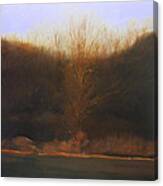 Fire Tree Sold Canvas Print