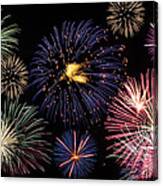 Firework Celebration Canvas Print