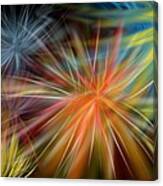 Fireworks Canvas Print