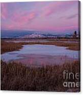 First Evening 2013 Canvas Print