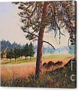 First Nation Meadow Canvas Print
