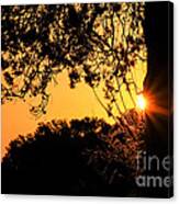 First Sunrise Of A New Year Canvas Print