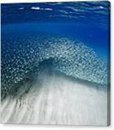 Fish Wave. Canvas Print