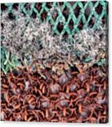 Fishing Nets #net #nicsquirrell Canvas Print