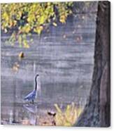 Fishing On A Misty Pond Canvas Print