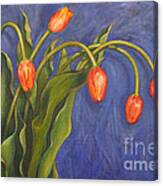 Five Tulips Canvas Print