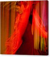 Flamenco Series 10 Canvas Print