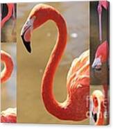 Flamingo Collage Canvas Print