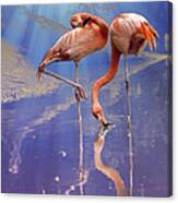 Flamingo Fantasy Lights Canvas Print