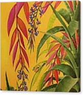 The Flasher - Anole And Bromeliads Canvas Print