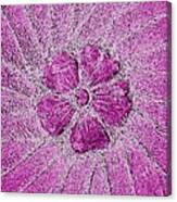 Fleur Fuchsia Canvas Print