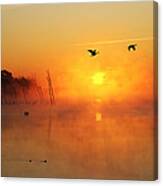 Flight At Sunrise Canvas Print