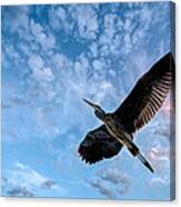 Flight Of The Heron Canvas Print