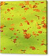 Floating Orange Leaves Canvas Print