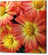 Floral Frenzy 2 Canvas Print