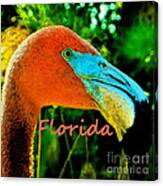 Florida Flamingo Canvas Print