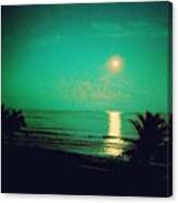 Florida Full Moon (or Almost Full Moon) Canvas Print