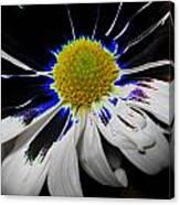 Art. White-black-yellow Flower 2c10 Canvas Print