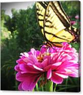 Flower And Butterfly Canvas Print