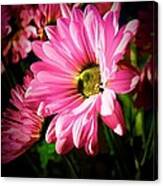 Flower Canvas Print