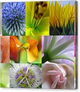 Flower Macro Photography Canvas Print