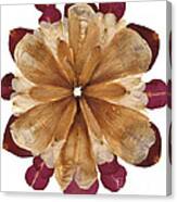 Flower Mandala 1 Canvas Print