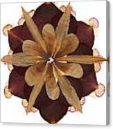 Flower Mandala 3 Canvas Print
