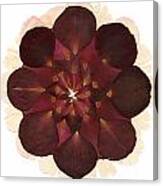 Flower Mandala 8 Canvas Print