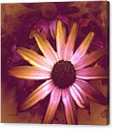 Flower Pink And Yellow Canvas Print