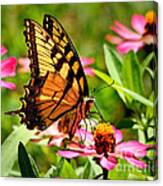 Flower With Wings Canvas Print