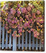Flowers And Fence Canvas Print