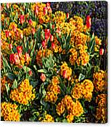 Flowers In Hyde Park, City Canvas Print