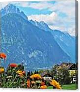 Flowers Of The Alps Canvas Print