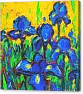 Flowers - Wild Irises Canvas Print