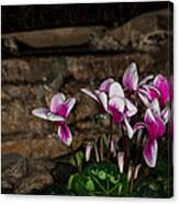 Flowers With Waterfall Backdrop Canvas Print