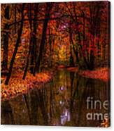 Flowing Through The Colors Of Fall Canvas Print