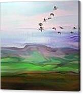 Fly By Digital Painting Canvas Print