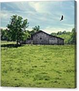 Fly By Canvas Print