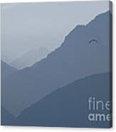 Flying Bird And Mountains Canvas Print