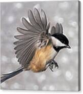 Flying Chickadee Canvas Print