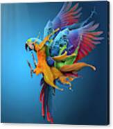 Flying Colours Canvas Print